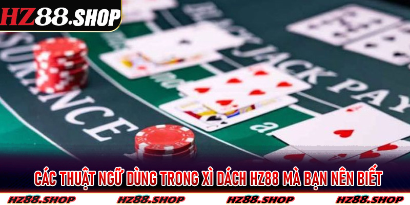 Các thuật ngữ dùng trong Xì Dách Hz88 mà bạn nên biết